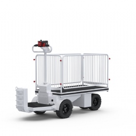 Electric Platform Cart
